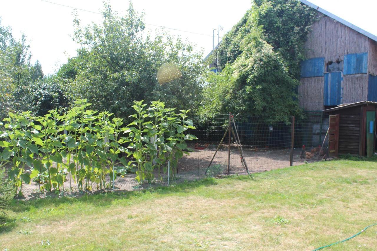 Agroturystyka Kociewiak Szteklin Exterior photo